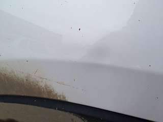 1920 X 1440 108.5 Kb     