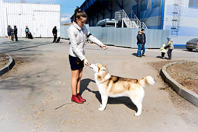 1920 X 1280 349.6 Kb 19     