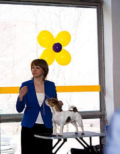 1920 X 2443 352.2 Kb 1920 X 1280 289.1 Kb 1920 X 1280 349.6 Kb 19     