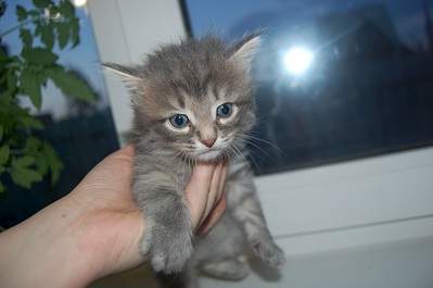 1366 X 908 247.2 Kb 1366 X 908 267.8 Kb 1366 X 908 284.6 Kb 1366 X 908 316.6 Kb    .