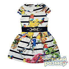 480 X 480 70.0 Kb 480 X 480 173.7 Kb 480 X 480 157.0 Kb       156 -, 