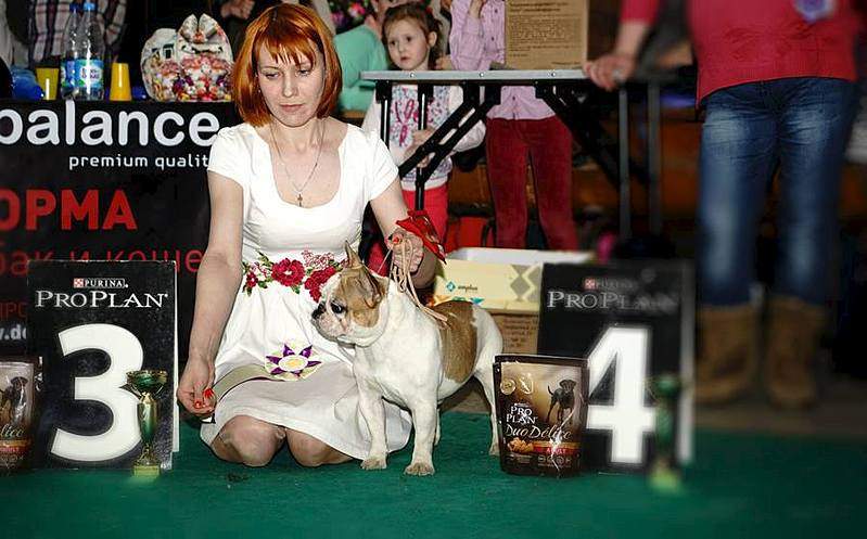 900 X 560  64.0 Kb 900 X 567  66.0 Kb 19     