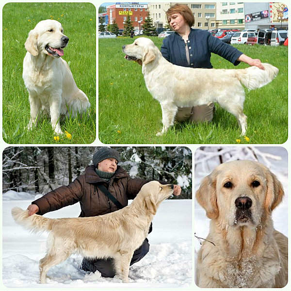 1200 X 1200 347.4 Kb 1200 X 672 184.0 Kb   