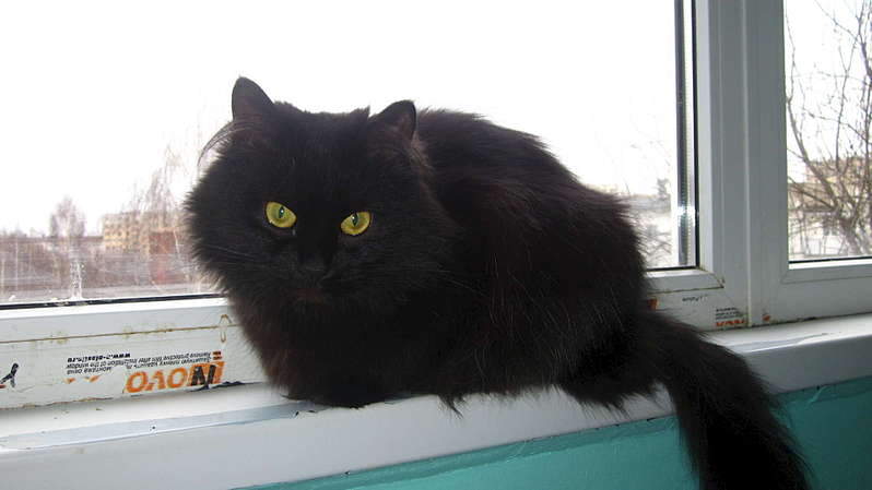 1920 X 1079 117.6 Kb   !   !