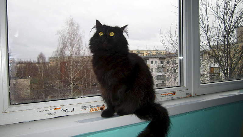 1920 X 1079 175.1 Kb 1920 X 1079 170.9 Kb 1920 X 1079 117.6 Kb   !   !