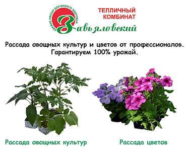 1920 X 1533 202.8 Kb     