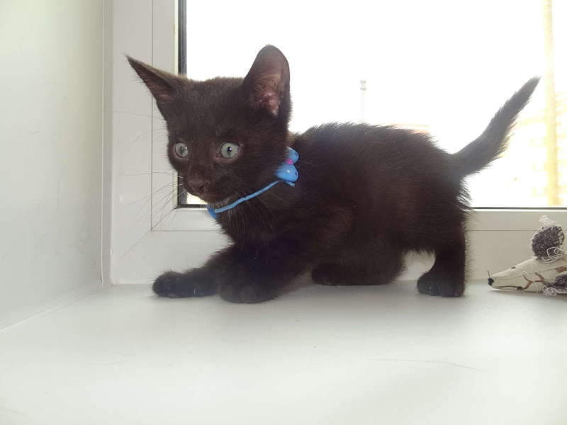 1920 X 1440 129.4 Kb 807 X 538 31.7 Kb      