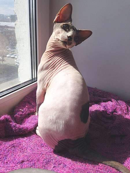 1920 X 2560 421.4 Kb     !