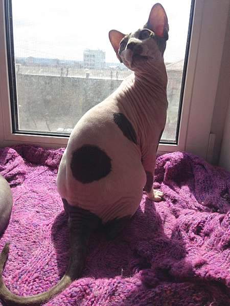 1920 X 2560 463.3 Kb 1920 X 2560 421.4 Kb     !