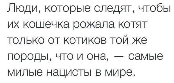 578 x 275 Улыбнемся?