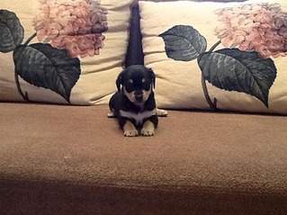 843 X 632 48.1 Kb  ,   