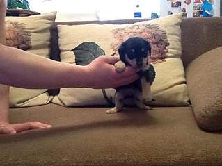 843 X 632 44.9 Kb 843 X 632 48.1 Kb  ,   