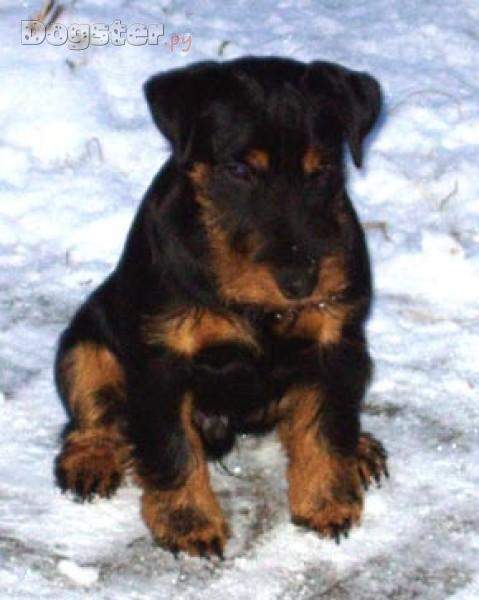 479 x 600 640 x 480  ,   