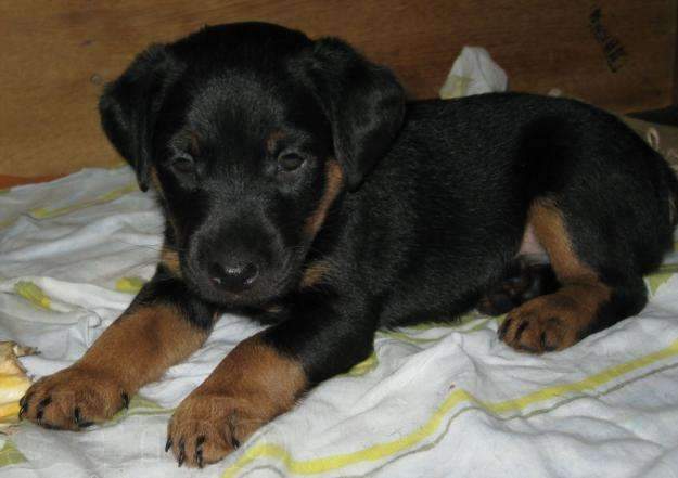 625 x 441 479 x 600 640 x 480  ,   