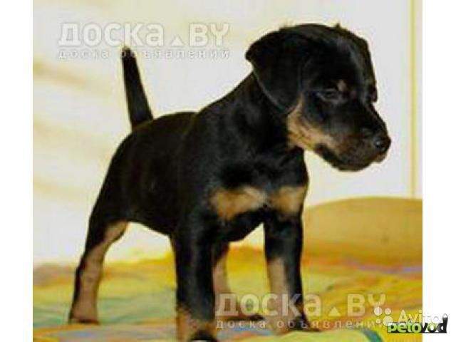 640 x 480 625 x 441 479 x 600 640 x 480  ,   