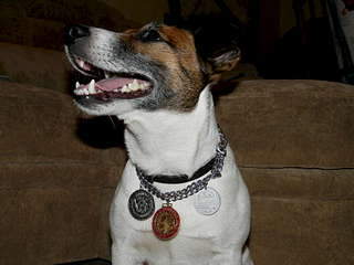 1920 X 1440 226.0 Kb     