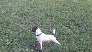 1920 X 1077 318.3 Kb 1920 X 1440 226.0 Kb     