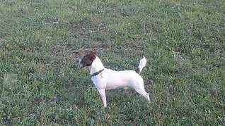 1920 X 1077 341.8 Kb 1920 X 1077 318.3 Kb 1920 X 1440 226.0 Kb     