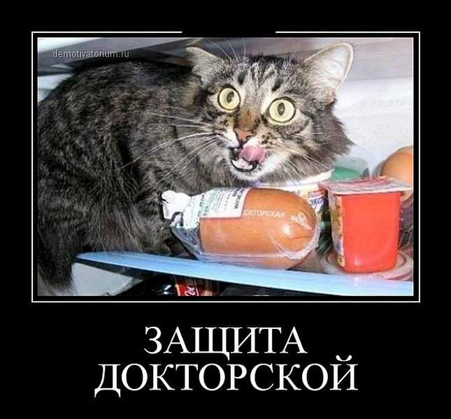 700 X 651 70.0 Kb Улыбнемся?