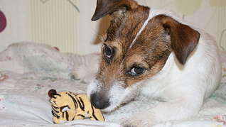 1920 X 1079 207.7 Kb     