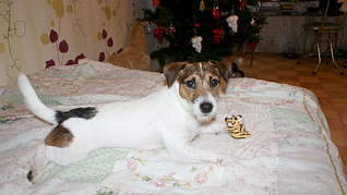 1920 X 1079 197.3 Kb 1920 X 1079 207.7 Kb     