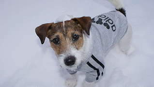 1920 X 1079 133.7 Kb     