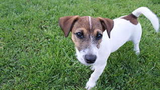 1920 X 1079 283.5 Kb 1920 X 1079 133.7 Kb     