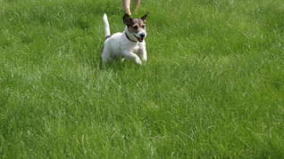 1920 X 1079 238.3 Kb 1920 X 1079 283.5 Kb 1920 X 1079 133.7 Kb     