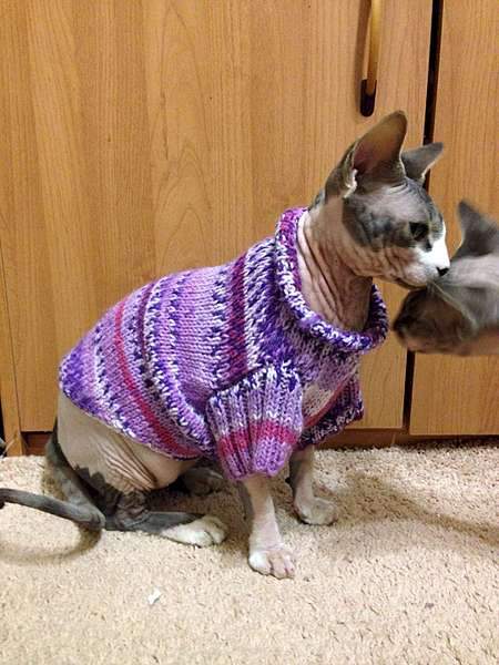 1080 X 1440 162.9 Kb     !