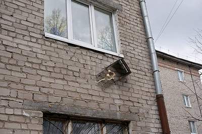 955 X 636 430.1 Kb  ?