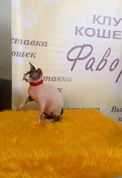 1920 X 2806 195.7 Kb     !