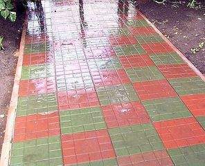 556 X 450  59.6 Kb     ! ( - )  .