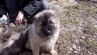 1920 X 1080 479.3 Kb      .