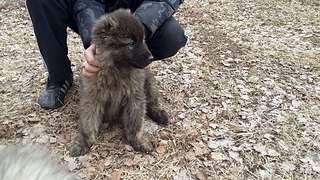 1920 X 1080 457.5 Kb 1920 X 1080 512.1 Kb 1920 X 1080 479.3 Kb      .