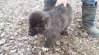 1920 X 1080 458.6 Kb 1920 X 1080 457.5 Kb 1920 X 1080 512.1 Kb 1920 X 1080 479.3 Kb      .