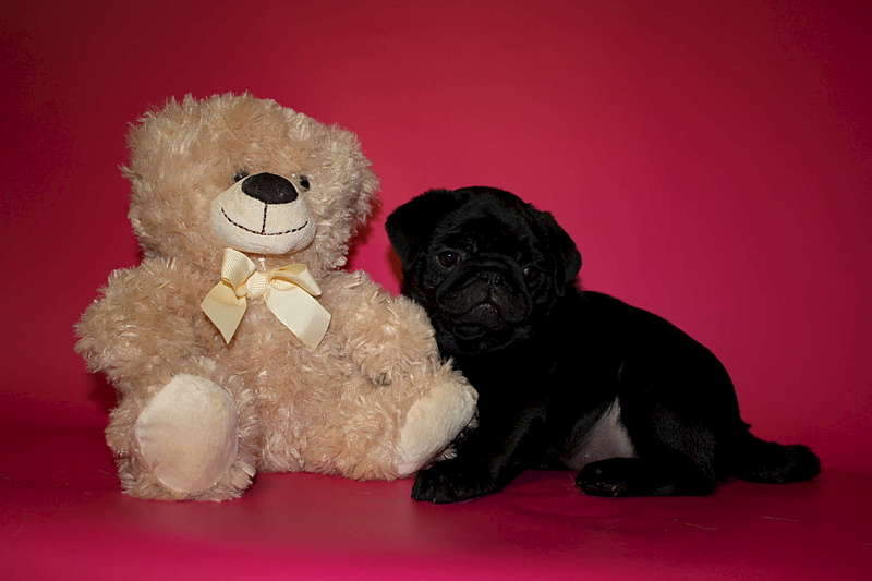 1920 X 1280 120.8 Kb  -  !