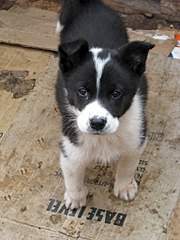 768 X 1024 136.8 Kb 1920 X 1080 240.9 Kb Sos sos ������� ���� ����� ������ ����� ��� ��� ���� �� ����������