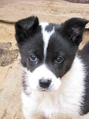 768 X 1024 116.7 Kb 768 X 1024 136.8 Kb 1920 X 1080 240.9 Kb Sos sos ������� ���� ����� ������ ����� ��� ��� ���� �� ����������