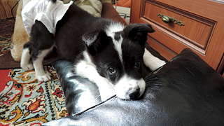 1920 X 1080 237.0 Kb 1920 X 1080 231.6 Kb Sos sos ������� ���� ����� ������ ����� ��� ��� ���� �� ����������