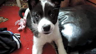 1920 X 1080 156.0 Kb 1920 X 1080 237.0 Kb 1920 X 1080 231.6 Kb Sos sos ������� ���� ����� ������ ����� ��� ��� ���� �� ����������