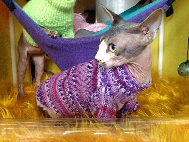 1920 X 1440 260.6 Kb     !