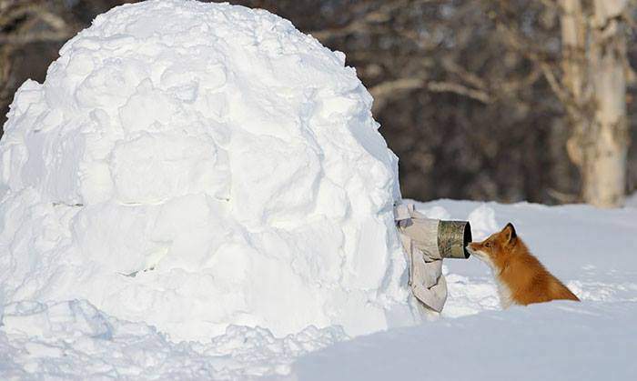 700 x 419 700 x 465 Улыбнемся?
