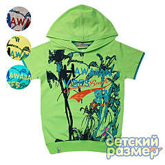 480 X 480 71.7 Kb 480 X 480 49.7 Kb 480 X 480 53.4 Kb       156 -, 