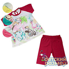 480 X 480 151.2 Kb       156 -, 