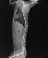 496 X 604 21.5 Kb    - 8     .