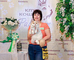 640 X 524 333.3 Kb Длинношерстные бриташки и компания!