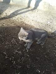 1920 X 2560 657.9 Kb  ,    ( - )