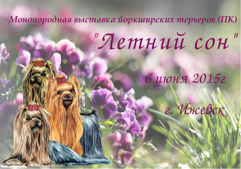 800 x 560 06.06.2015.  ''.   ()   