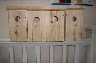 1920 X 1280 175.6 Kb 