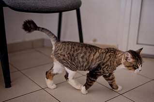 807 X 537  48.0 Kb 807 X 537  54.8 Kb 807 X 537  44.5 Kb 807 X 537  52.8 Kb ,         !    !